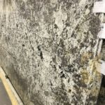 granite-betularie-slab